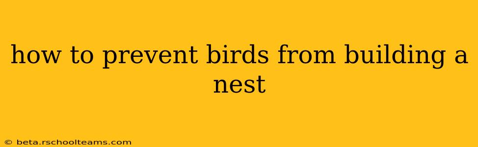 how to prevent birds from building a nest
