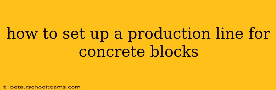 how to set up a production line for concrete blocks