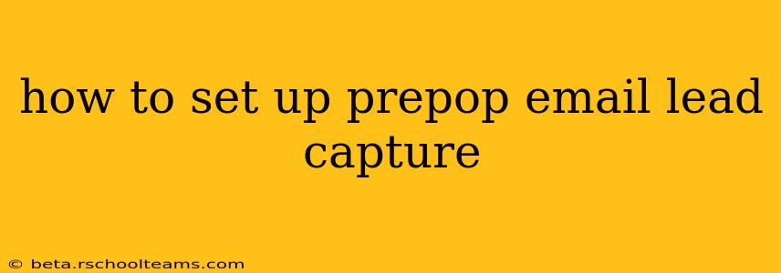 how to set up prepop email lead capture