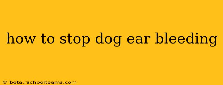 how to stop dog ear bleeding