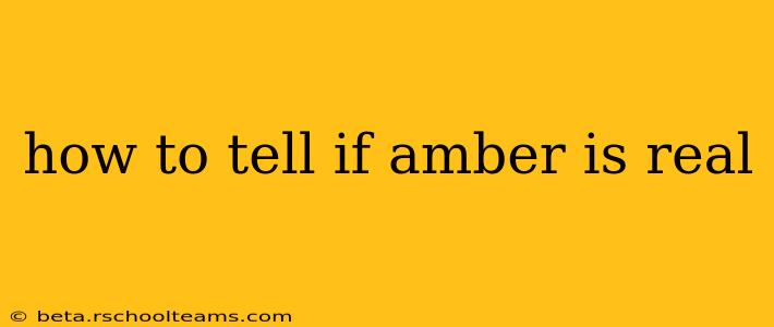 how to tell if amber is real