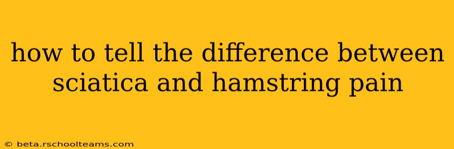 how to tell the difference between sciatica and hamstring pain