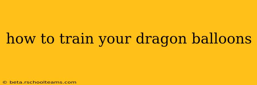 how to train your dragon balloons