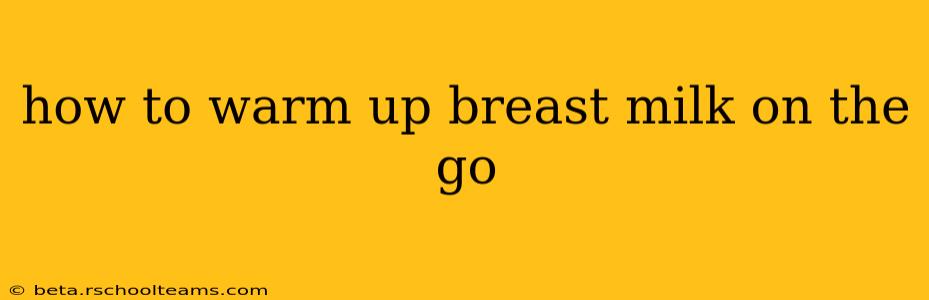 how to warm up breast milk on the go
