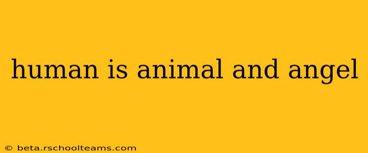 human is animal and angel