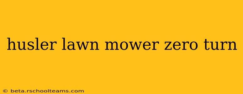 husler lawn mower zero turn