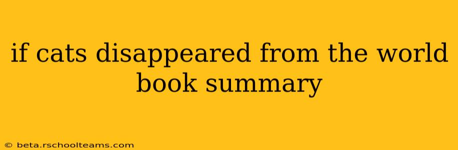if cats disappeared from the world book summary