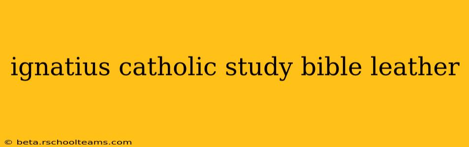 ignatius catholic study bible leather