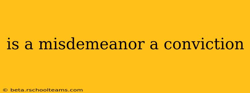 is a misdemeanor a conviction