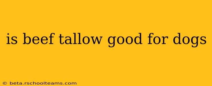 is beef tallow good for dogs
