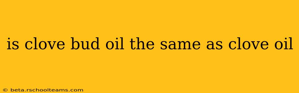 is clove bud oil the same as clove oil