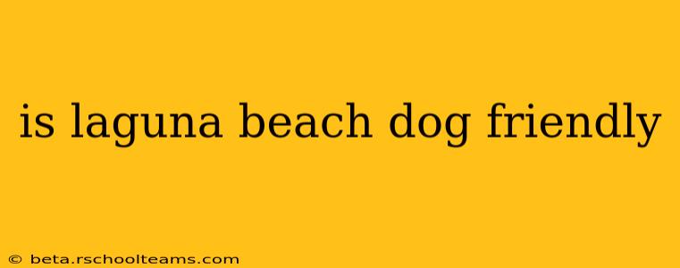 is laguna beach dog friendly