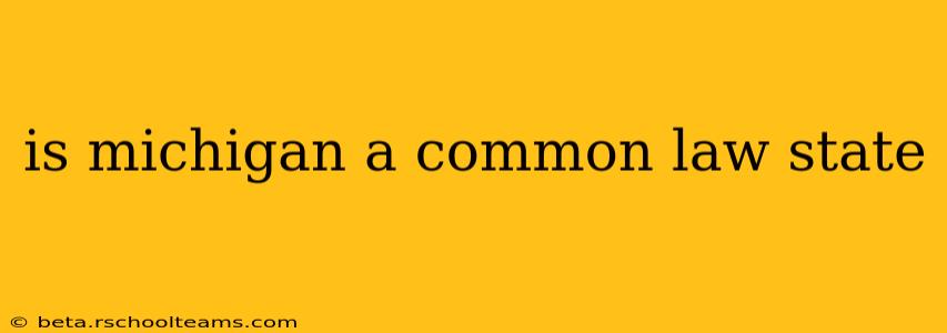 is michigan a common law state