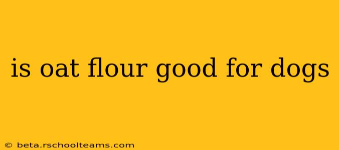 is oat flour good for dogs