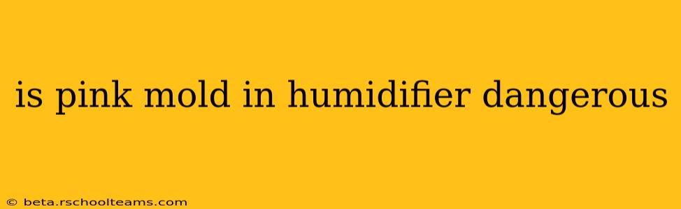 is pink mold in humidifier dangerous