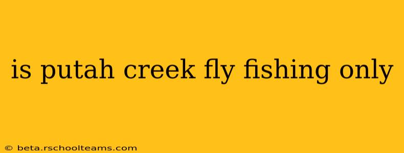 is putah creek fly fishing only