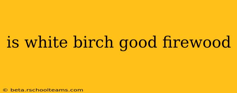 is white birch good firewood
