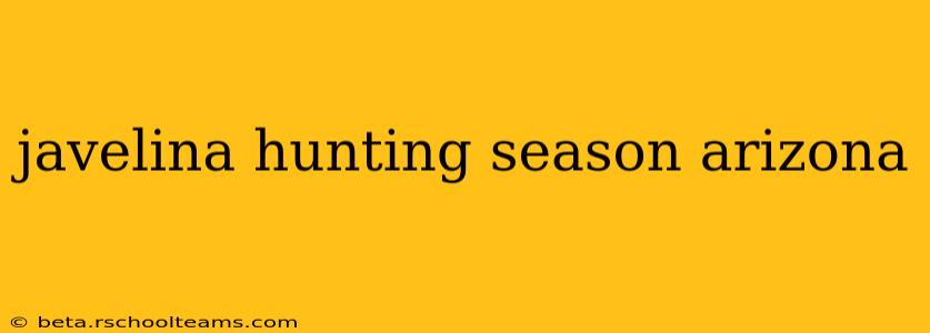 javelina hunting season arizona