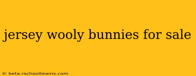 jersey wooly bunnies for sale