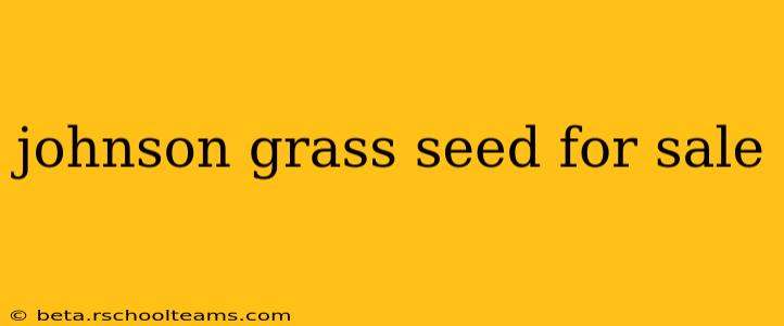 johnson grass seed for sale