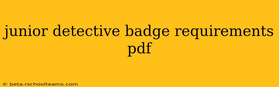 junior detective badge requirements pdf
