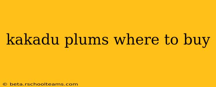 kakadu plums where to buy