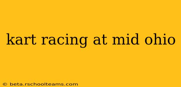 kart racing at mid ohio