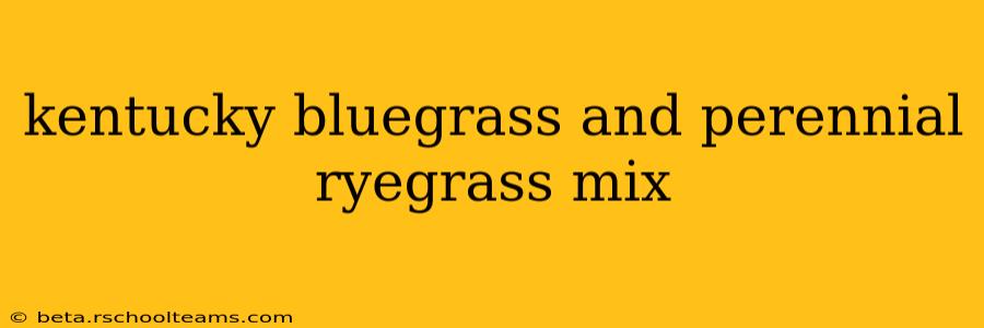 kentucky bluegrass and perennial ryegrass mix