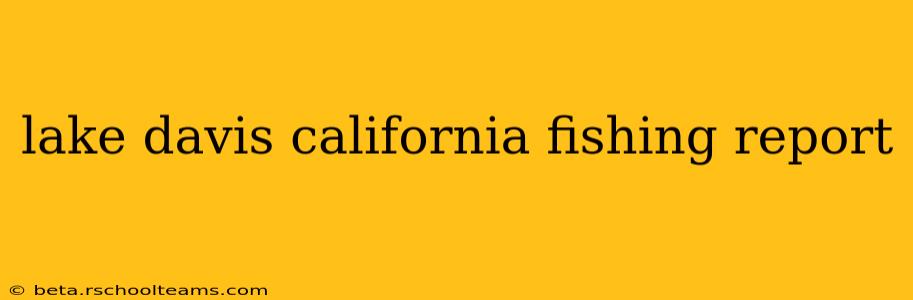 lake davis california fishing report