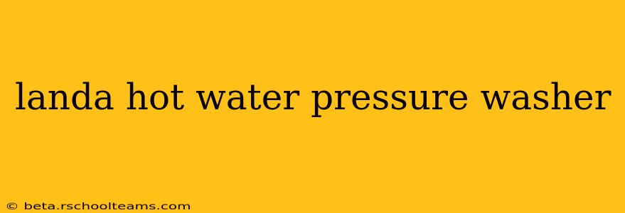 landa hot water pressure washer