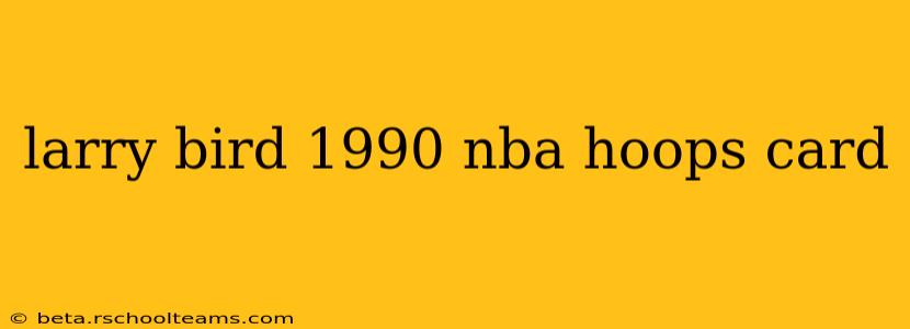 larry bird 1990 nba hoops card