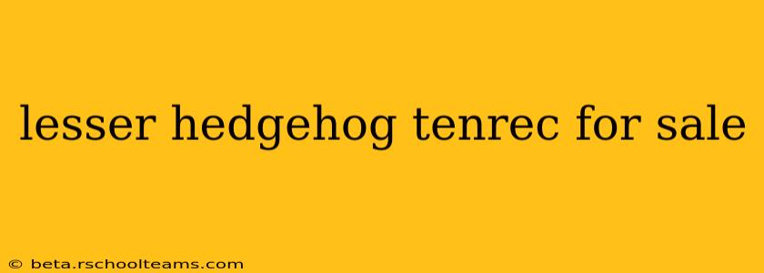 lesser hedgehog tenrec for sale