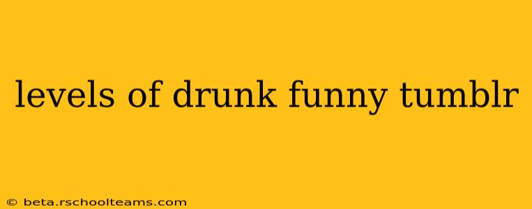 levels of drunk funny tumblr