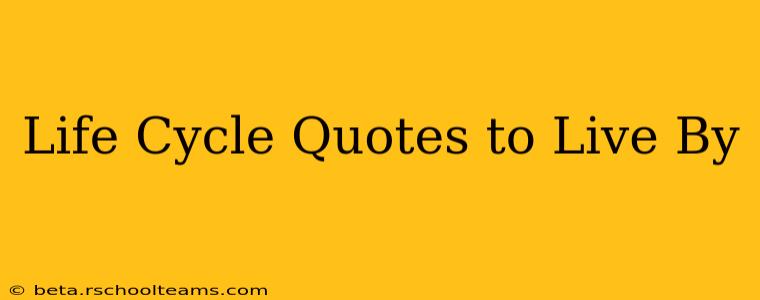 Life Cycle Quotes to Live By