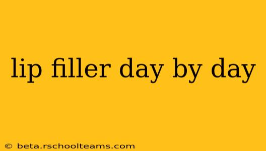 lip filler day by day