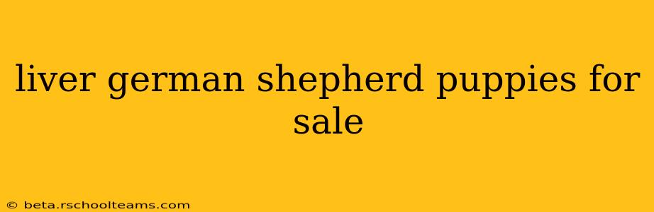 liver german shepherd puppies for sale