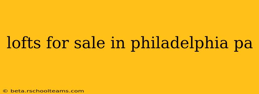 lofts for sale in philadelphia pa