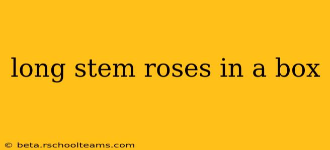 long stem roses in a box