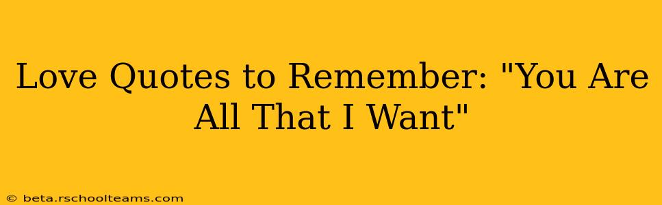 Love Quotes to Remember: "You Are All That I Want"