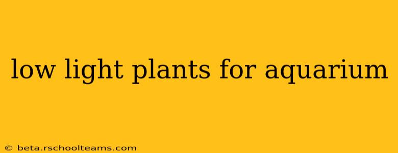low light plants for aquarium