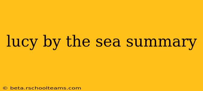 lucy by the sea summary