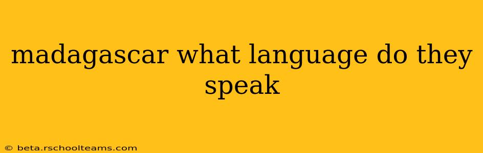 madagascar what language do they speak
