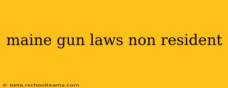 maine gun laws non resident