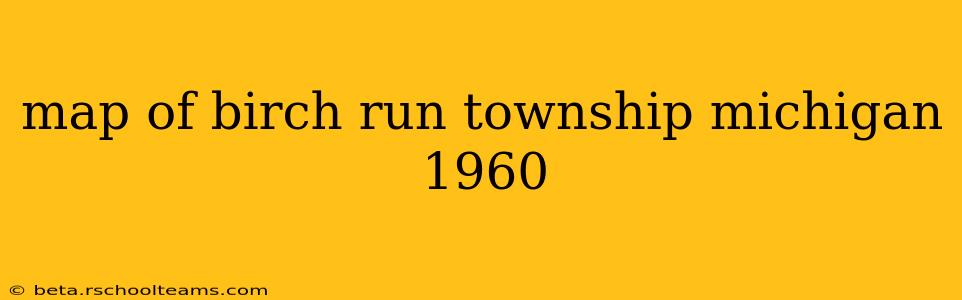 map of birch run township michigan 1960