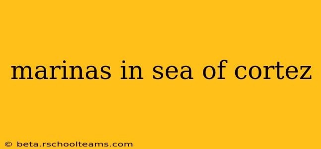 marinas in sea of cortez