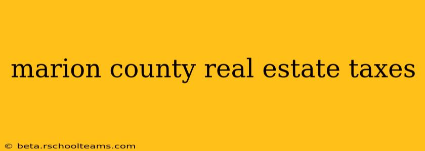 marion county real estate taxes