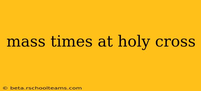 mass times at holy cross