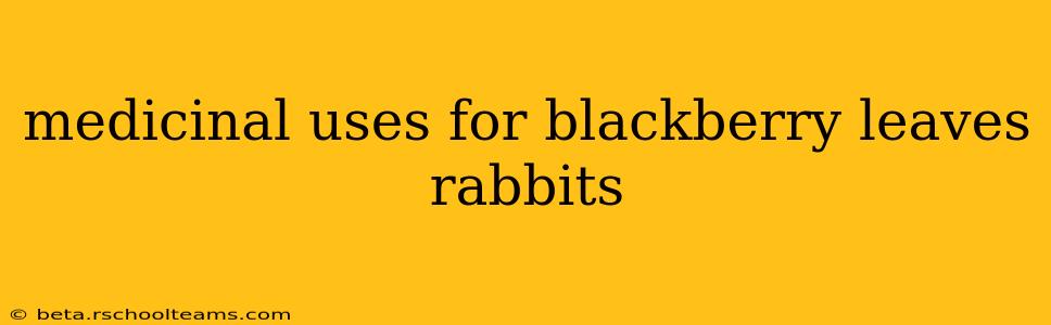 medicinal uses for blackberry leaves rabbits