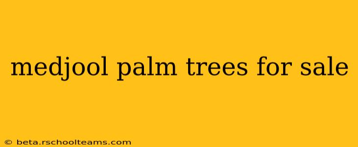 medjool palm trees for sale