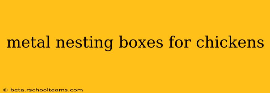 metal nesting boxes for chickens